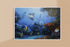 original painting great barrier reef coral trout wall art print